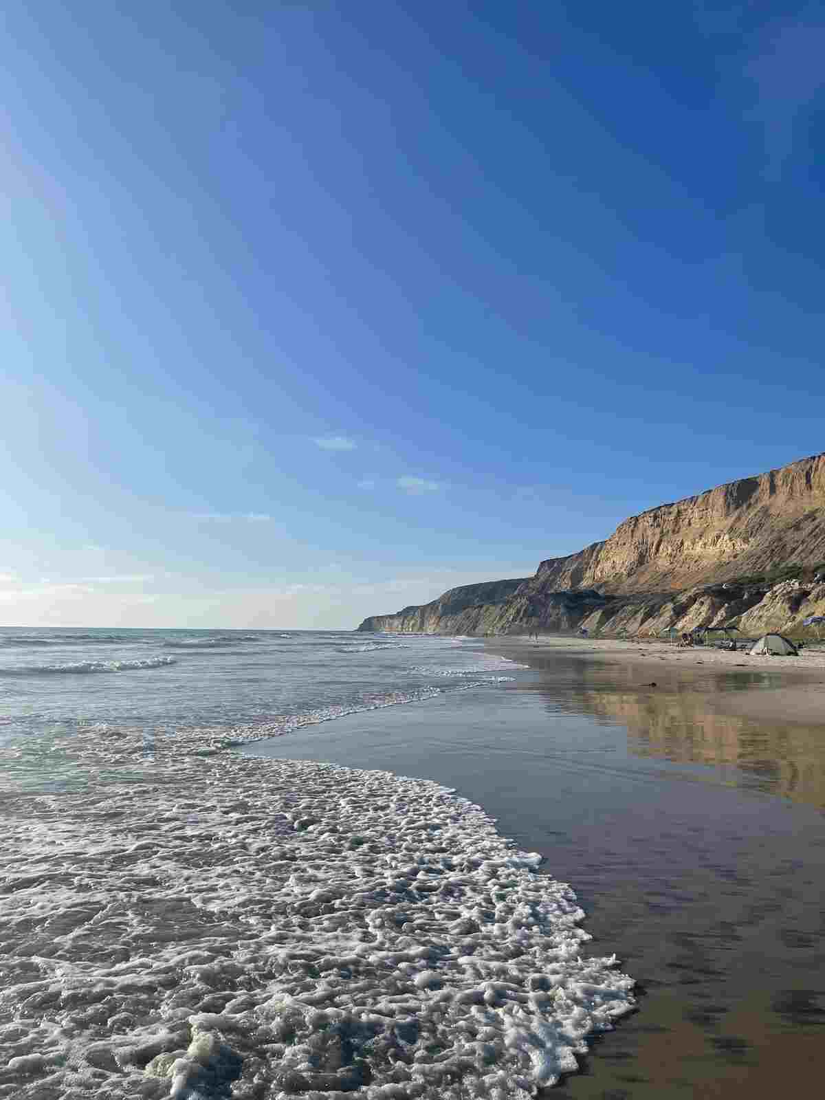 Black's Beach with dramatic cliffs and pristine sand
