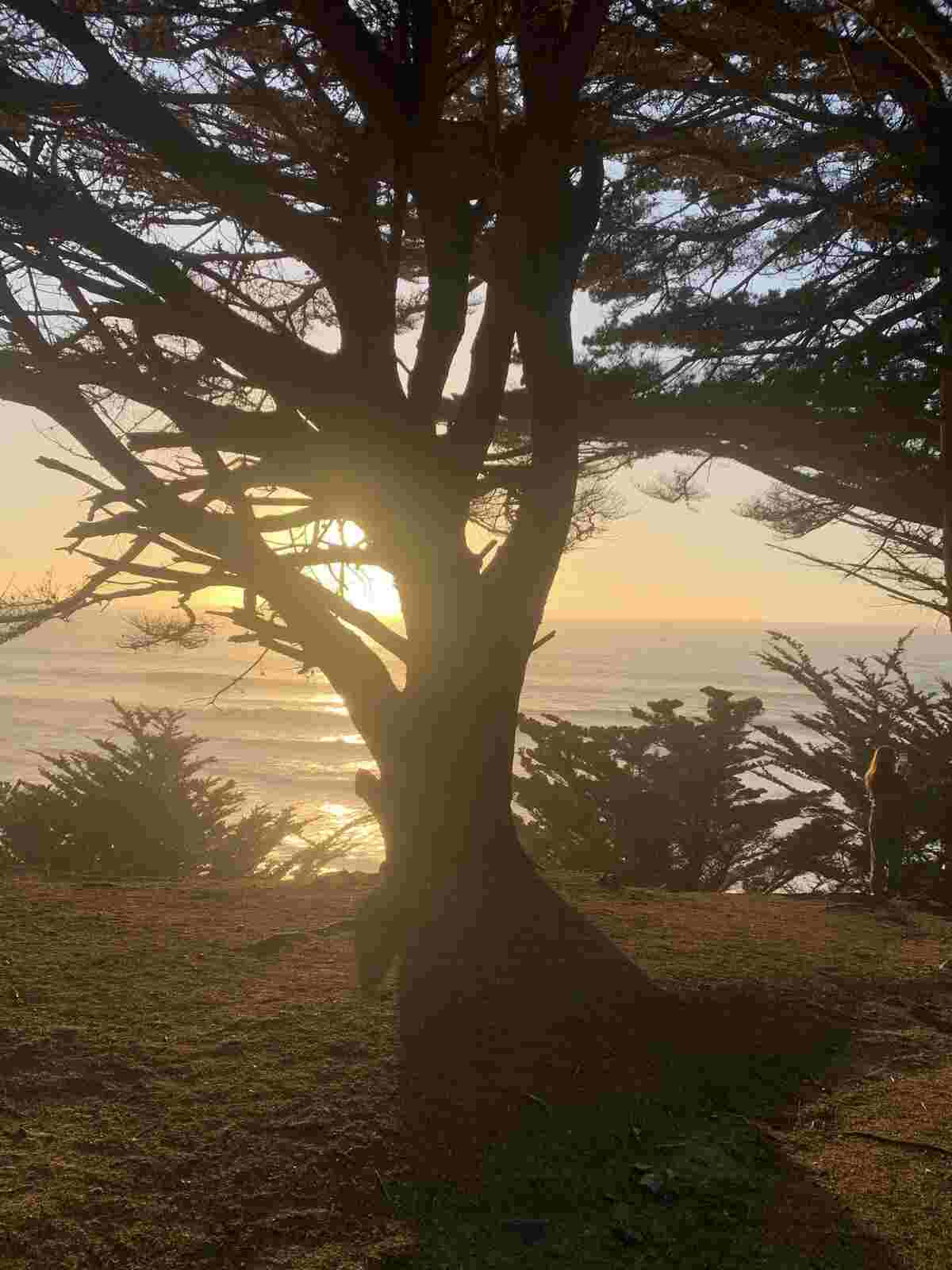 Gray Whale Cove with dramatic cliffs