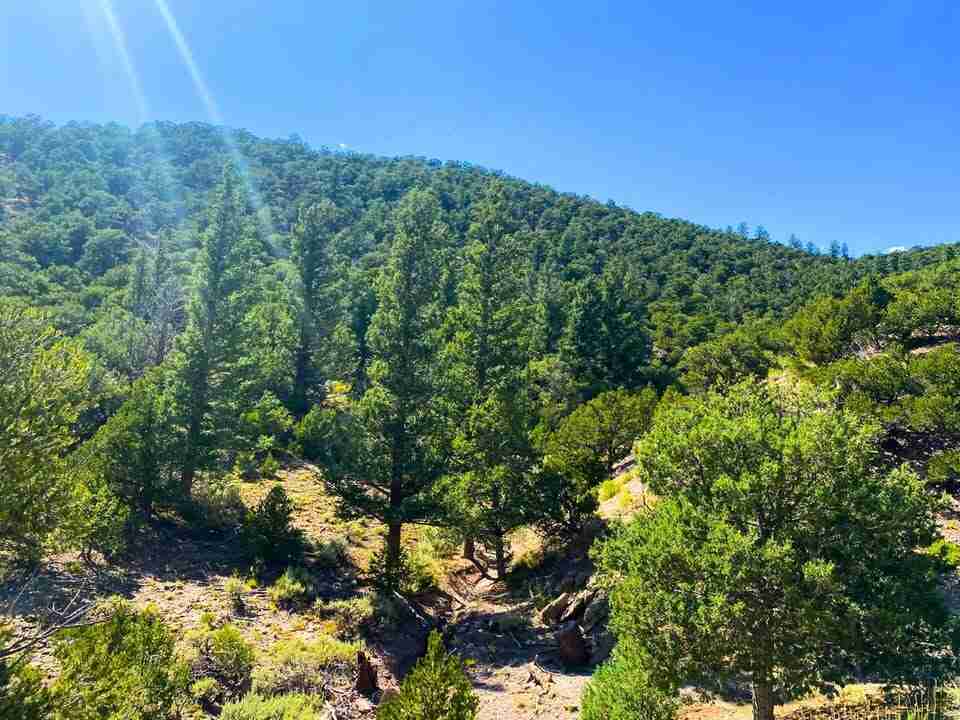 Alamosa Colorado San Luis Valley retirement