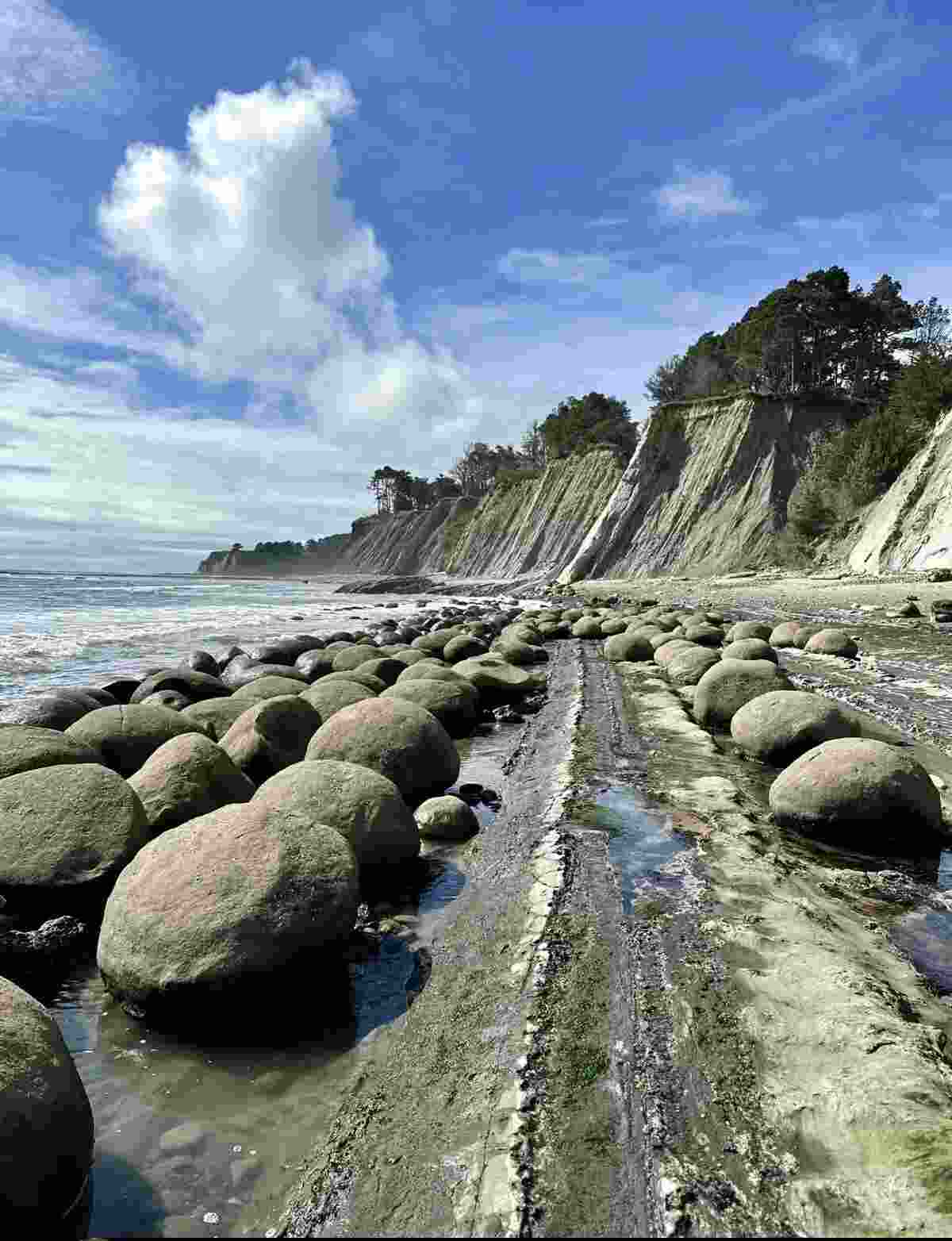 Bowling Ball Beach with spherical boulders at low tide