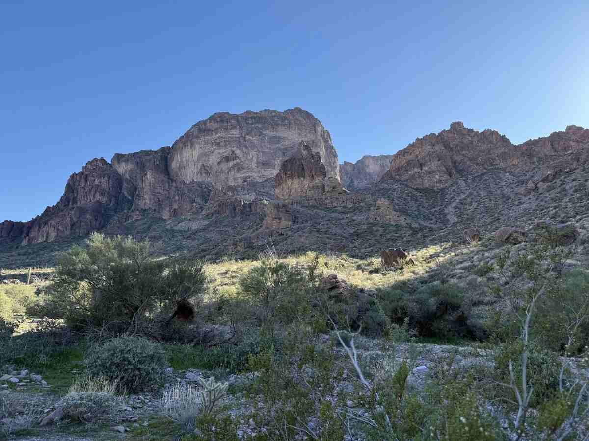 Desert National Wildlife Refuge bighorn sheep habitat and wilderness