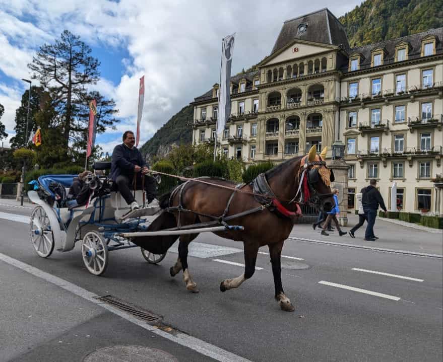Iseltwald Village Horse Ride