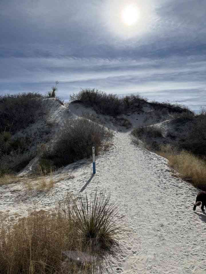 White Sands gypsum dunes – 2026